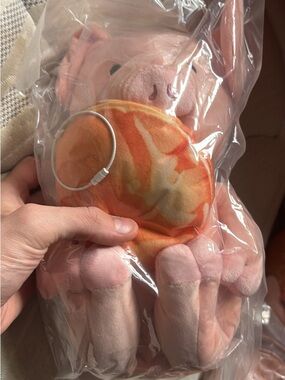 Peach give a pig a pancake plush.